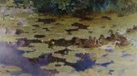 Brood of Ducklings among Yellow Water Lilies
