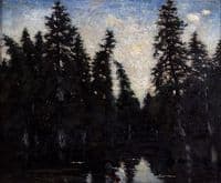 The black spruces