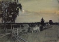 Horses Grazing
