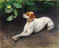 Portrait of a Dog