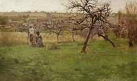Apple Trees in Bloom
