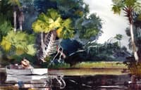 Homosassa Jungle