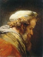 Study of an Old Man