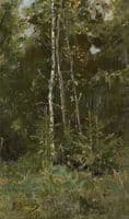 The Forest Edge