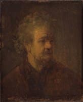 Head of an Old Man (after)