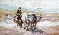The Ox Cart