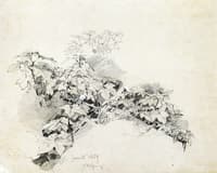 Plant Study, Cold Spring, New York