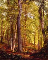 June Woods