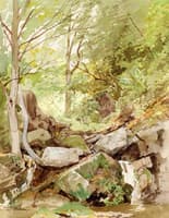 Trees and Rocks by a Stream