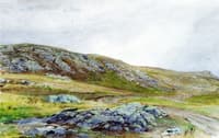 Green Hills, Rocks, and Lichen