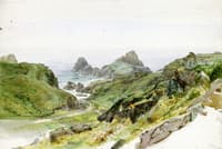 Newport Cove