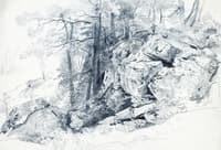 Rocks and Trees (Conanicut Island?)