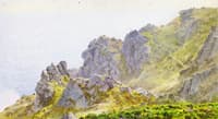 Guernsey