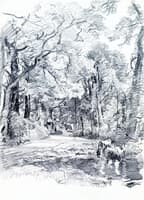 Tennyson's Lane, Isle of Wight