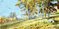 Hillside in Autumn