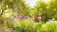 Miss Bridge's Garden, Canaan