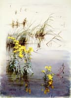 Nature Study