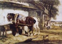 Cart Horses