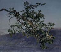 A Branch