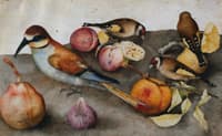 Still Life with Birds and Fruit