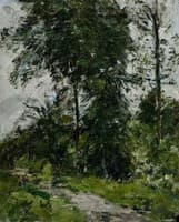 Arbre vert – l’allée
