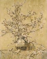Apple Blossoms