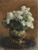 White Lilacs