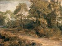 A Wooded Landscape