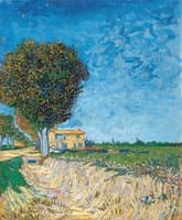 A Lane near Arles