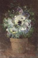 Pansies