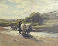 The Ox Cart