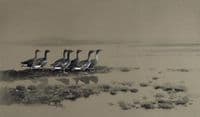 Wild Geese at the Lake
