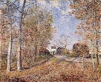 Un coin de bois aux Sablons