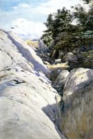 A Gully, Monhegan Island
