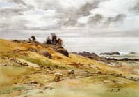 Sheep Grazing, Monhegan Island