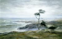 Lone Tree, Monhegan Island