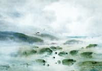Sea Smoke