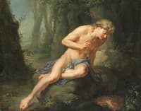 Narcissus