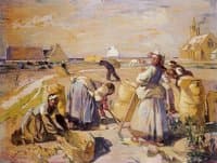 Potato Harvest