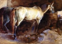 The Favorite Horse