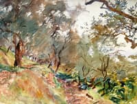 Majorca: Trees on a Hillside