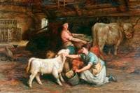 Feeding the Calves