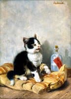 The Little Patient