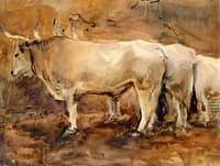 Three Oxen at Siena