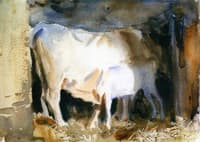 At Siena: A Cow and a Calf in a Stall