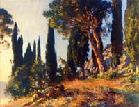 Cyresses and Pines