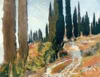 A Winding Road and Cypress Trees, San Vigilio