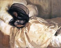 The Mosquito Net