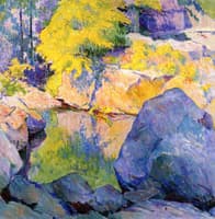 Sunlit Pool