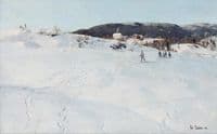 A Winter's Day in Norway